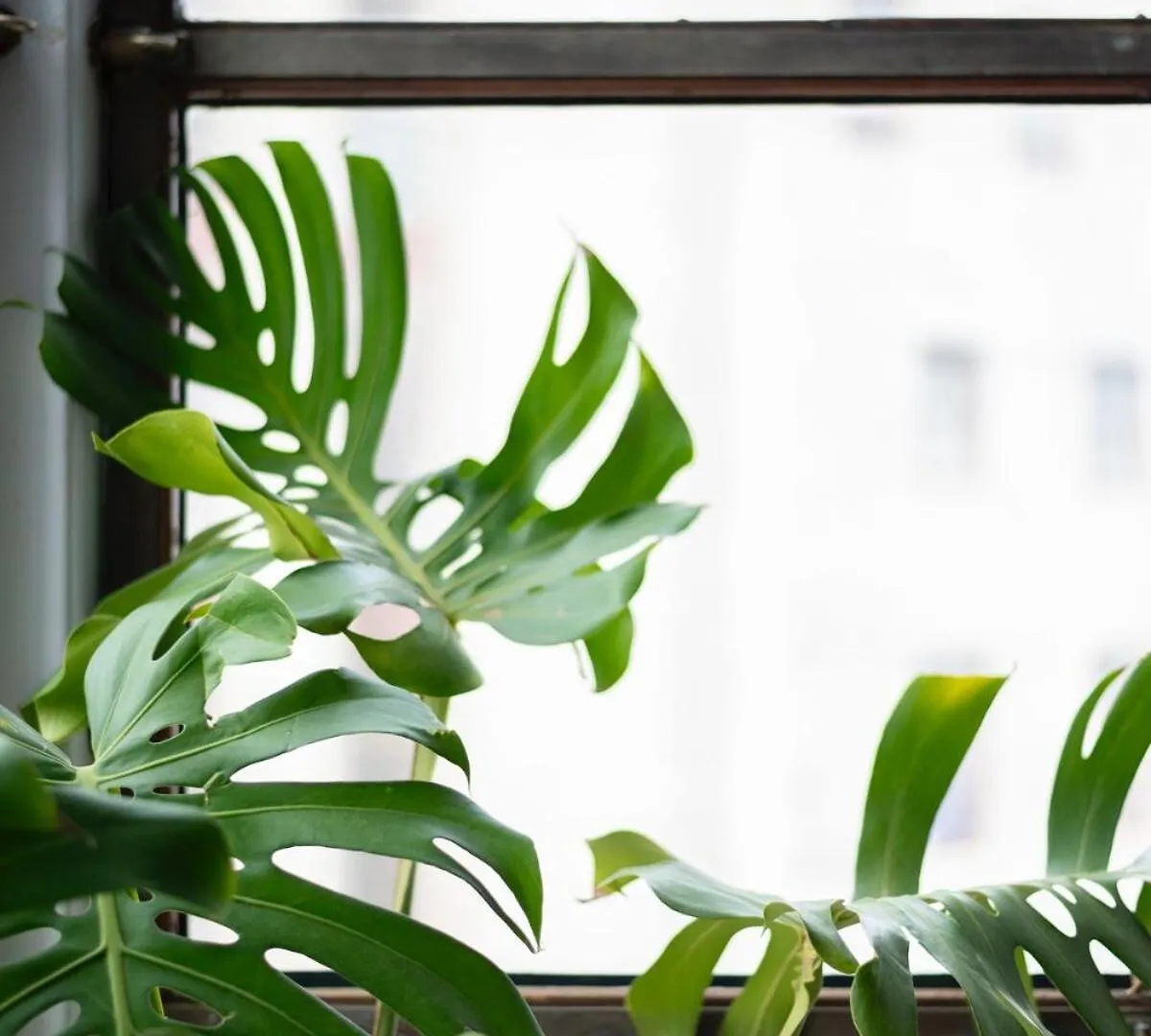 One Bedroom Loft Apartment In Darling Street Kapstadt